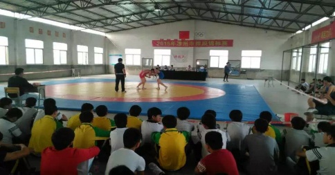 办学特色鲜明(图31)